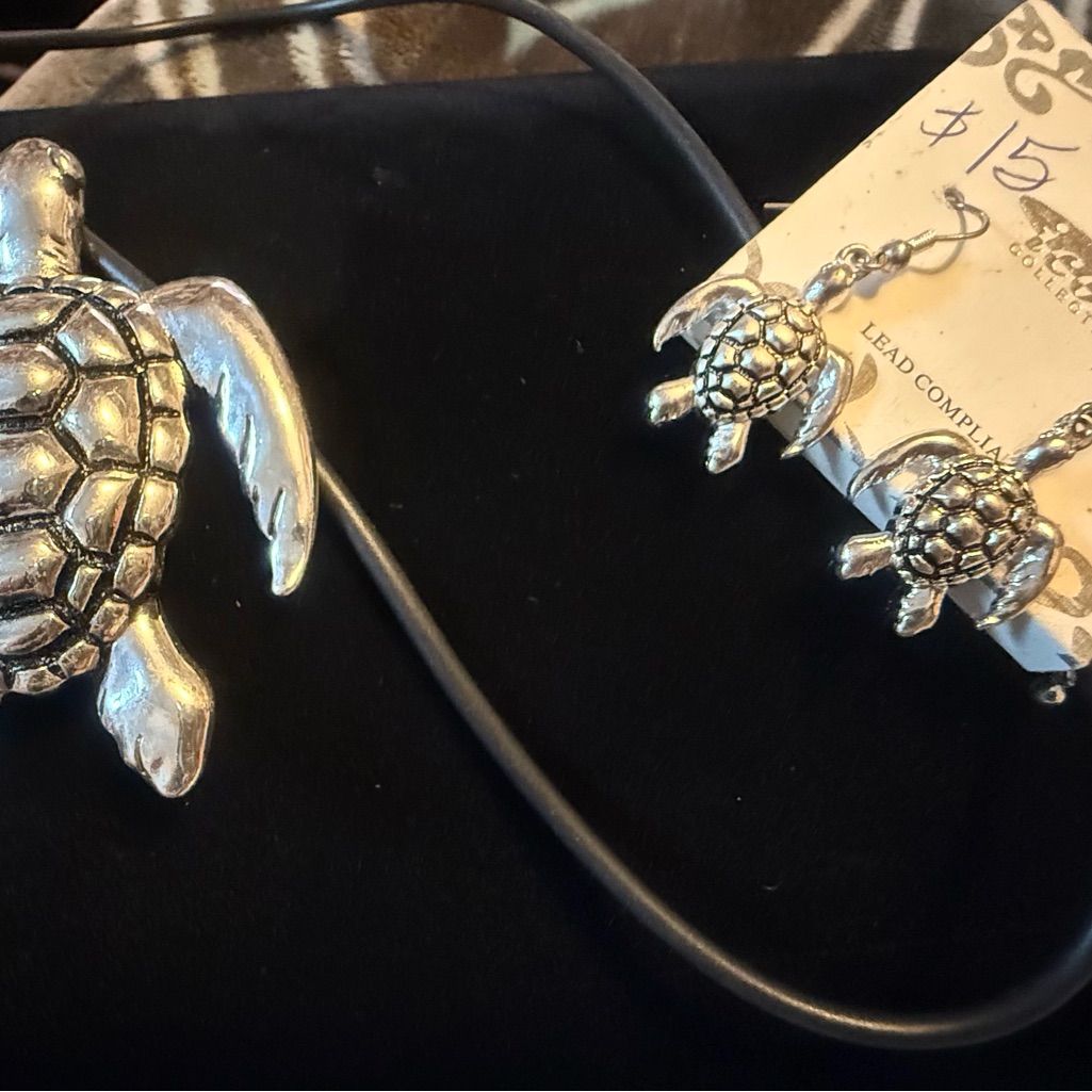 Silver Turtle Necklace And Earring Set